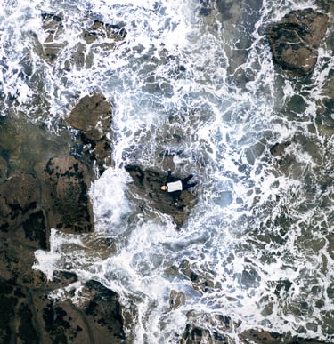 ardent standing on a rock in the ocean