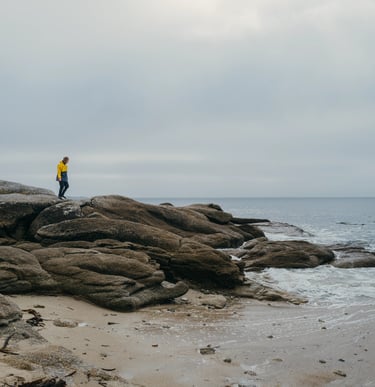 ardent ardent32m standing on a rocky beach
