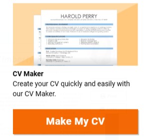 online cv builder