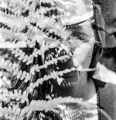 natures framework hiding and revealing and contextualising a human mind