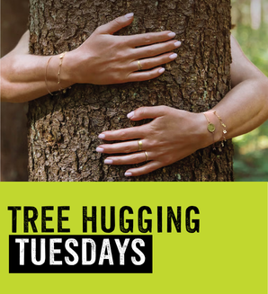 TREE HUGGING TUESDAYS: Reconnect and let nature recharge you.