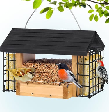 Wooden bird feeder with suet cages and wild birds feeding on mixed seeds.