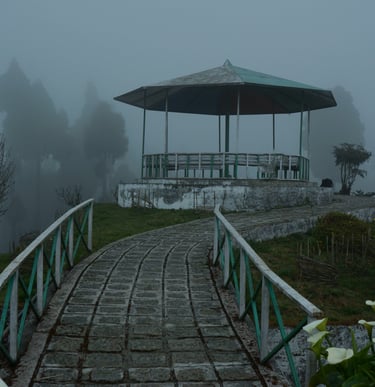 A misty path protected with side rails leading to a shade.