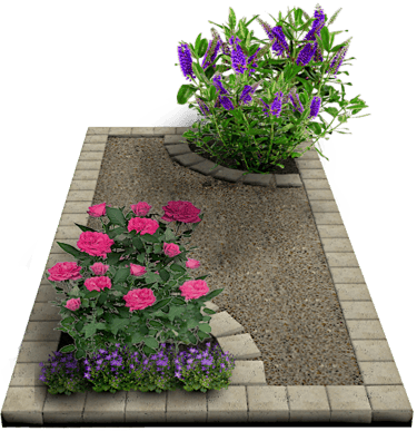 Tombe paysagère rosiers
