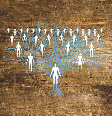 sistēmiskie sakārtojumi