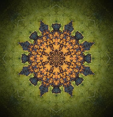 regresijas terapija cena