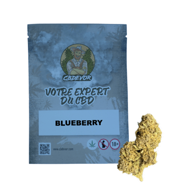 Un sachet avec une fleur (BLUEBERRY)