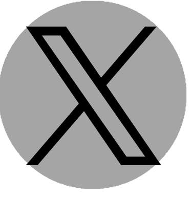 X Icon