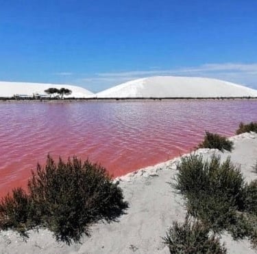 Les Salins de Aigues Mortes