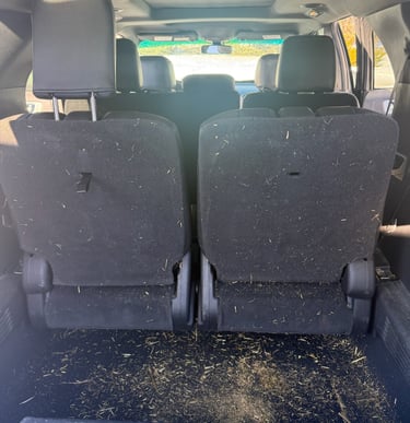 dirty cargo area before