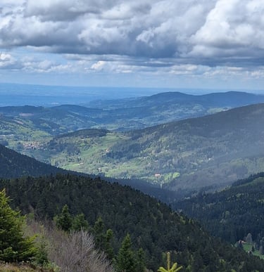 la vue de la croix du Fossat, Vallée du Fossat Parc du Livradois Forez