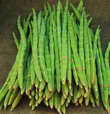 EXPORT of Indian Drumstick Moringa IMPORT to Qatar KSA Oman UAE KUWAIT BAHRAIN SRI LANKA MALDIVE SOUTH AFRICA  MALAYSIA