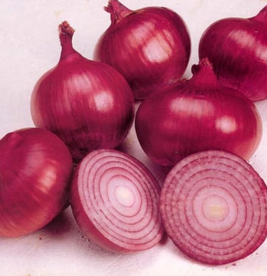 EXPORT of Indian Onion IMPORT to Qatar KSA Oman UAE KUWAIT BAHRAIN SRI LANKA MALDIVE SOUTH AFRICA  MALAYSIA