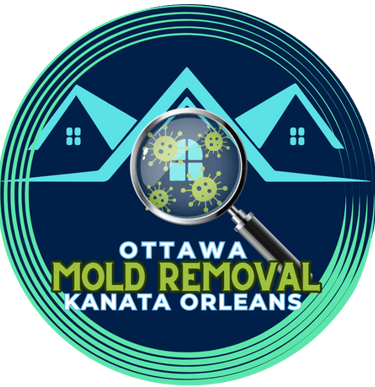 Ottawa Mold Removal-Orleans-Kanata