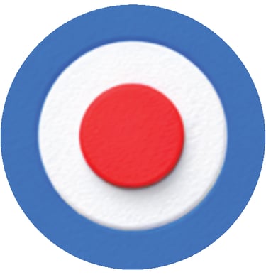 Facebook Leads by Common Sense Marketing