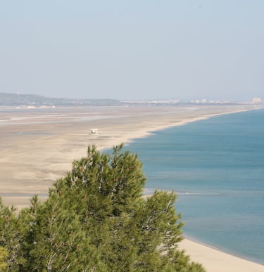 plage des Coussoules à Leucate La Franqui 