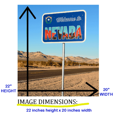 22-inch height x 20-inch width specs