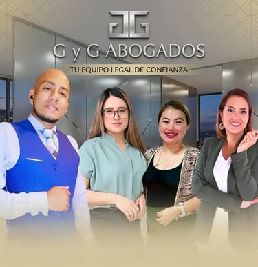 G y G Abogados, GyG Abogados
