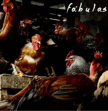 disco Fábulas de Ricardo Salvador, música, Compositor