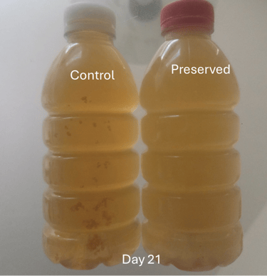 Green tea preservation