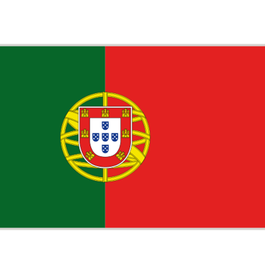a flag of the portuguese flag