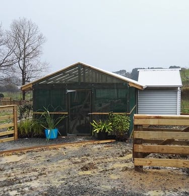 Green house construction CHR Builders