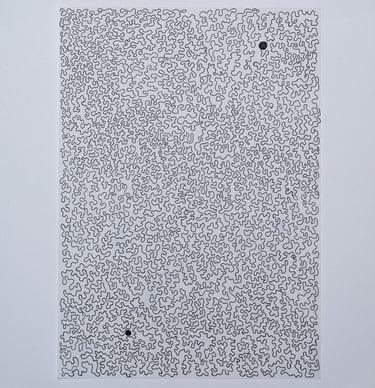 a black and white drawing of a wavy line