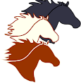 Windy Mane Ranch logo © 2012-2025