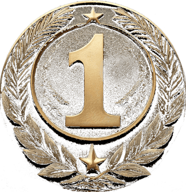a gold medal medal with a star on it