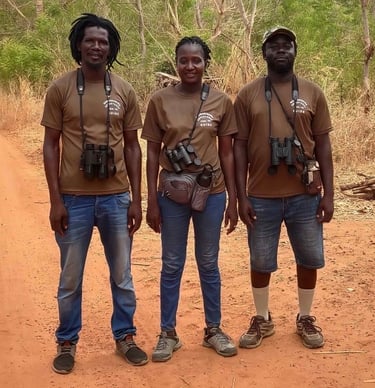 Vogelgidsen van Birding Adventures Gambia & Senegal tijdens een privé vogelfotografie tour, uitgerus