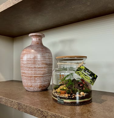 terrarium unique réalisé par Bocal terrarium à Clermont-Ferrand