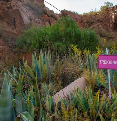 pulsar retiro julio 2026