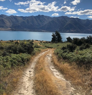 Nature path symbolizing perinatal yoga support for mothers