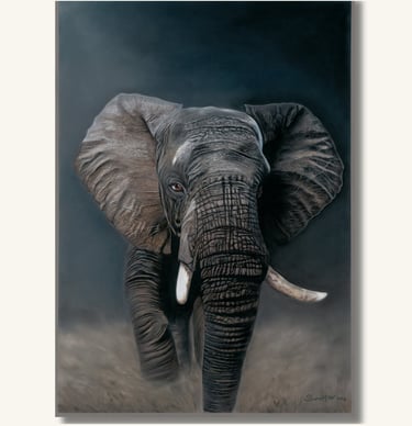 Wildlife Artist
