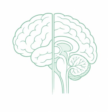 Brain image