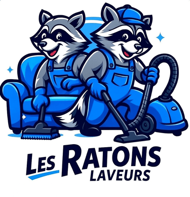 les ratons laveurs 60 oise vitres canapés tapis