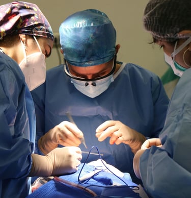 Clinical Training and Facilities in Georgian university