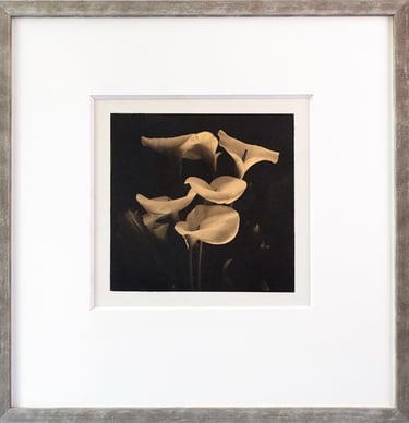 Elegant framed black and white lily floral wall art in a silver picture frame with white matting.