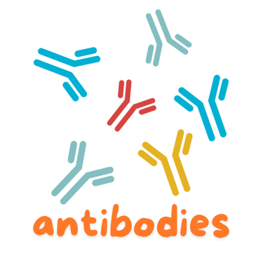 a group of colourful antibodies