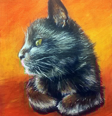 a pet portrait of a black cat on an orange background