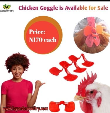 Chicken Google 