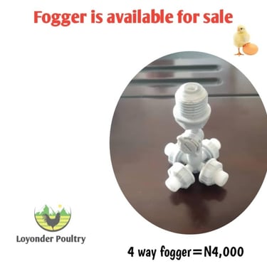 Foggers 