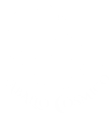 caballo cosmico sanacion energetica