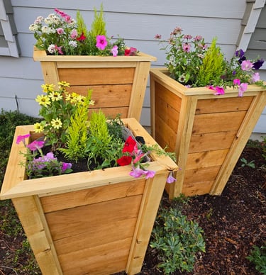 Planted Cedar Boxes