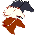 Windy Mane Ranch logo © 2012-2025