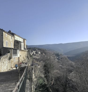 Menerbes