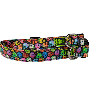 A Dog collar with brightly colored sugar skulls
