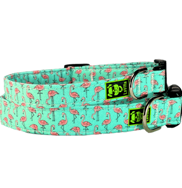 An aquamarine dog collar with a flamboyance of pink Flamingos