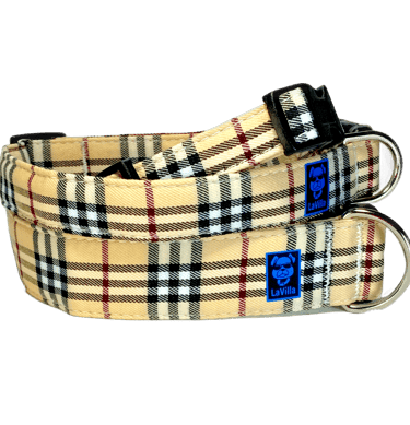 An Ivory plaid Dog collar in the London style