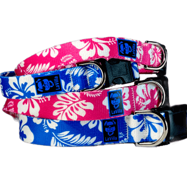 Blue and pink dog collars with a hawaiian pattern